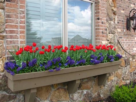 ready planted window boxes